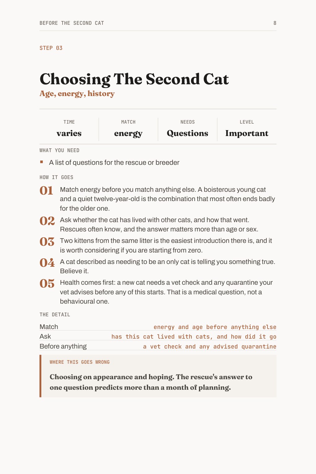 A page from the Two Cats PDF